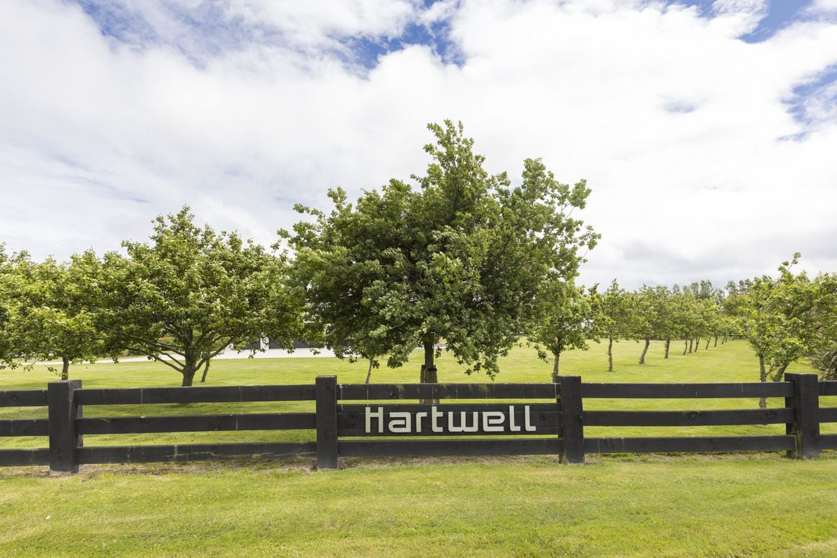 64 Hartwell Drive - space and scenic views - Widok 2