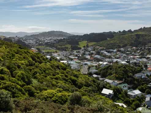 24A Freeling Street, Island Bay