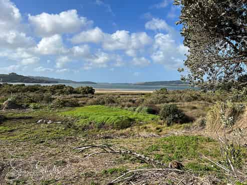 99 Komiti Road, Tinopai