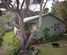 5 Rue Viard, Akaroa, Banks Peninsula, Canterbury