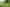 Pacific Islands - Address withheld