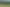 Pacific Islands - Address withheld