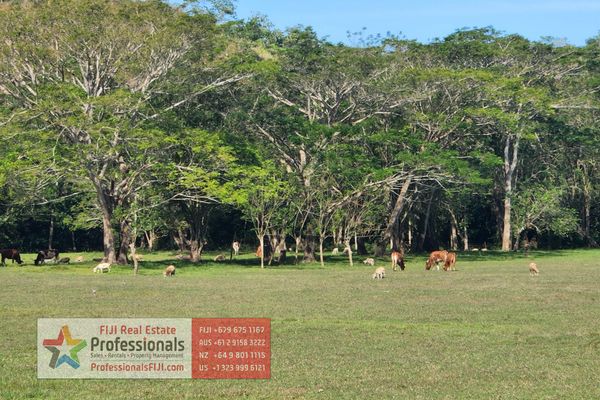 YOUR PICTURE PERFECT 350 ACRE FREEHOLD DREAM FARM - Aanzicht 4