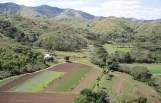 Pacific Islands - Address withheld