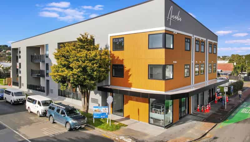 101/1A Kings Road, Mount Roskill