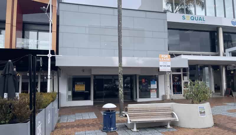  36 Spring Street, Tauranga