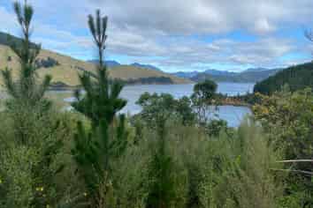 Cissy Bay, Cissy Bay