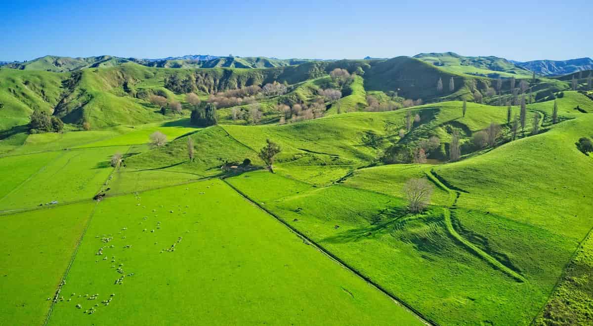 'Waituhi', Lavenham Road, Patutahi, Gisborne For Sale realestate.co.nz