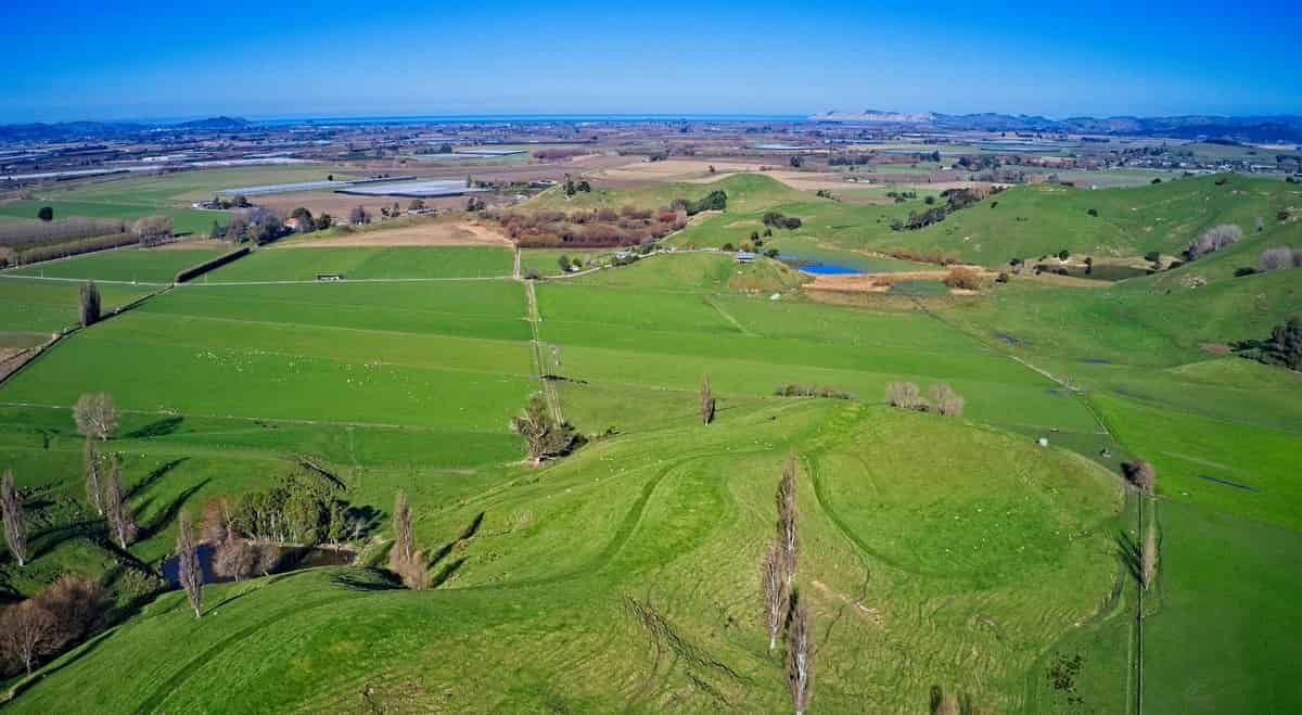 'Waituhi', Lavenham Road, Patutahi, Gisborne For Sale realestate.co.nz