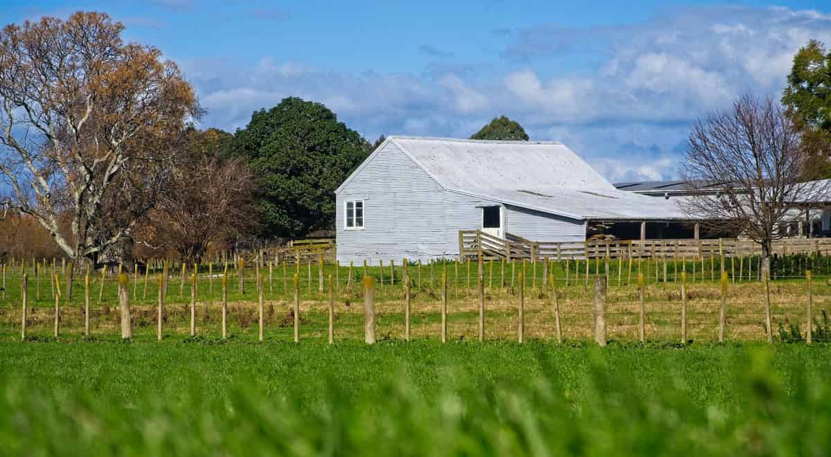 'Lavenham' 132 Lavenham Road, Patutahi, Gisborne For Sale