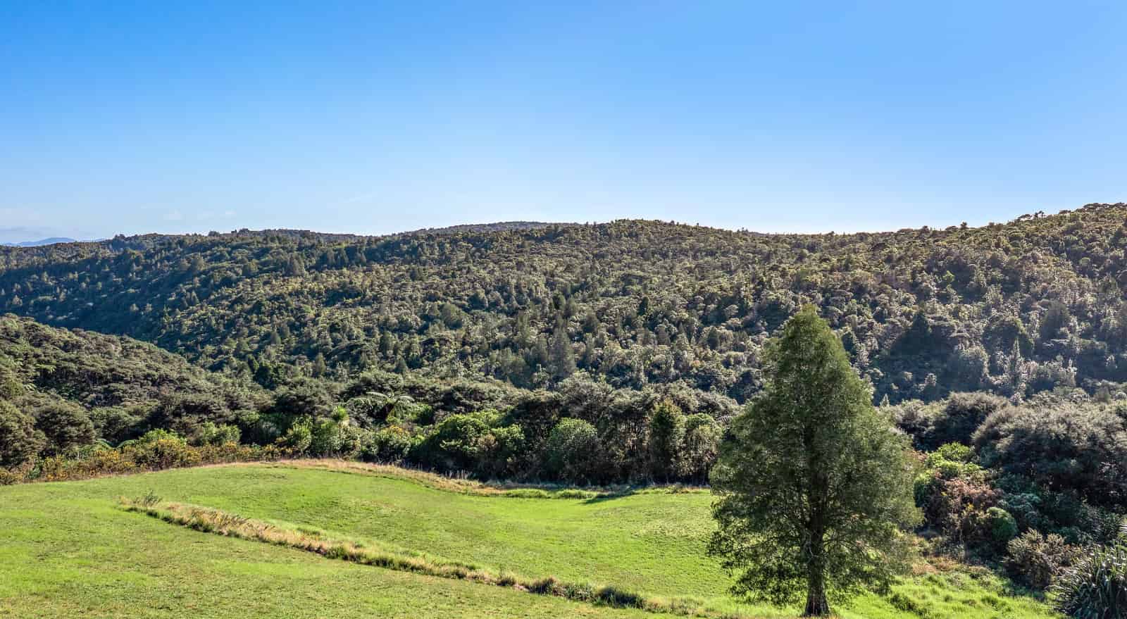 1612C Pakiri Road, Pakiri, Rodney For Sale realestate.co.nz