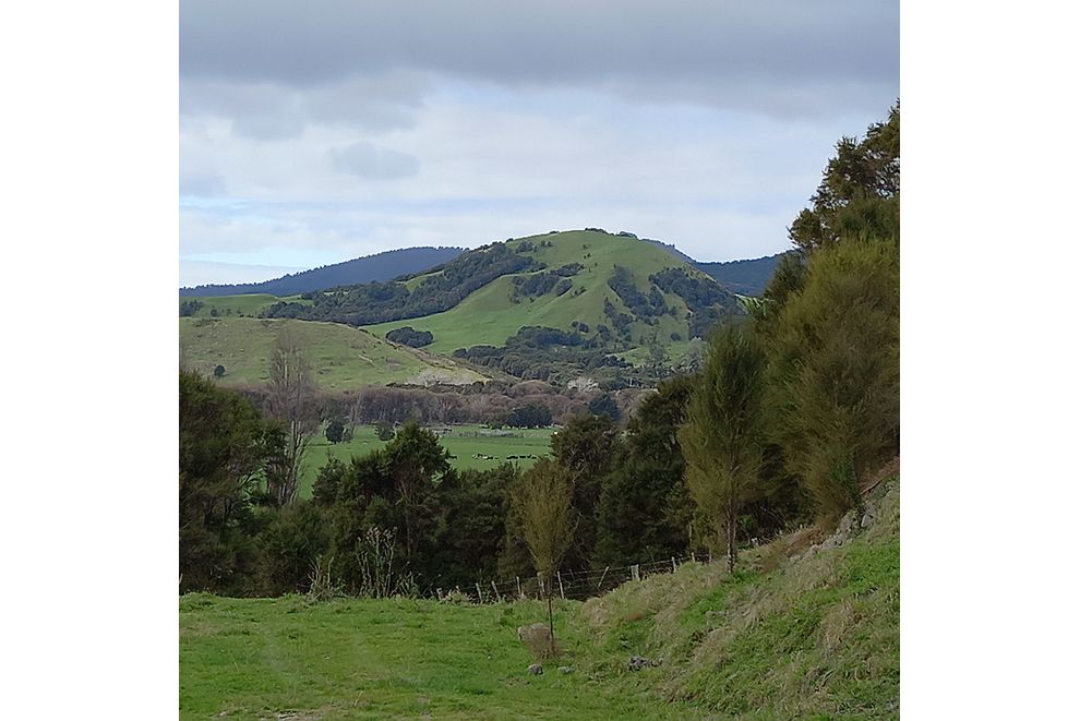 141 Puhunga Road, RUATORIA, Gisborne, Gisborne, 4032 For Sale