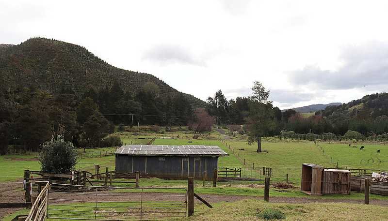 1659 Mataraua Road, Otaua