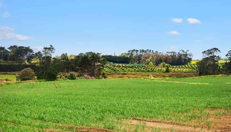 Lot 3/230 Wright Road, Waiau Pa