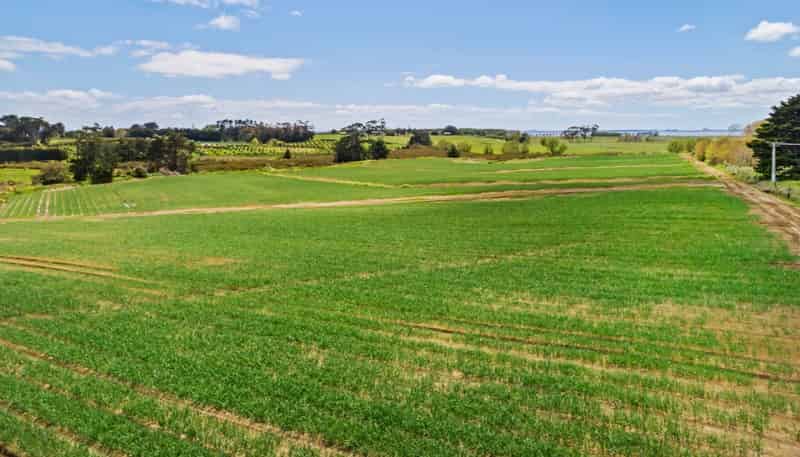 Lot 3/230 Wright Road, Waiau Pa