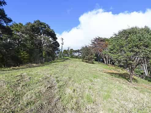 99 Birdsall Road, Whangateau