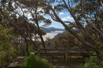 3 Gilligans Lane, WHANGAROA