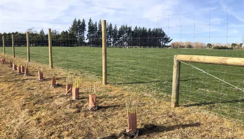 Lot 2 - 48 Woodlands Morton Mains Road, Woodlands