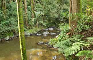 Lot 1 675 Gorge Road, Maungaturoto