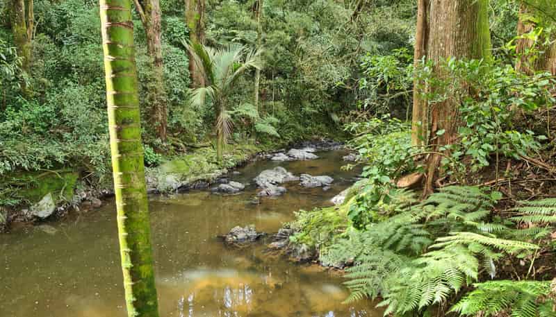 Lot 1 675 Gorge Road, Maungaturoto