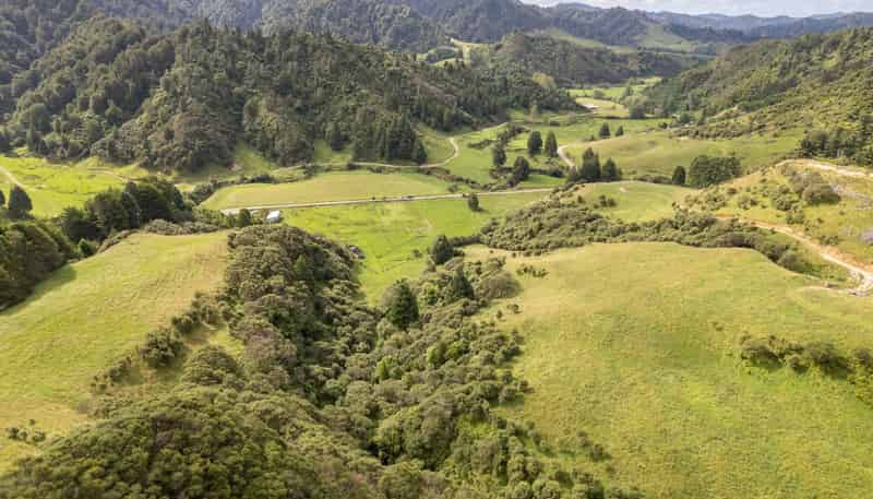 995 Piko Road, Okoki