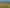 780 Pyes Pa Road, Pyes Pa