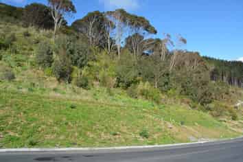 Lot 45, Stage 4, Kapiti Views, Kakariki Grove,, Waikanae