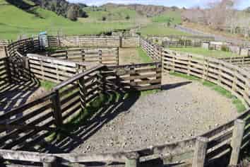 Lot 4 Tarata Road, Tarata