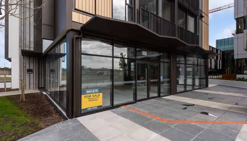G04/2B Munroe Lane, Albany