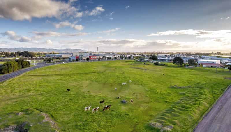 23 Keepa Road, Whakatane