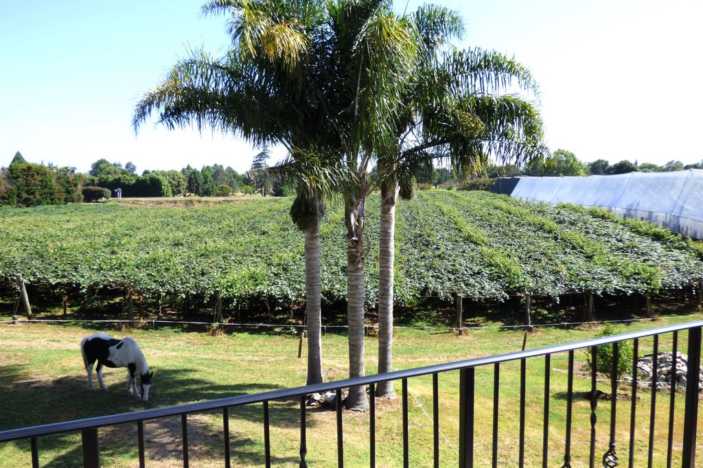 Property value 824 State Highway 2, Paengaroa realestate.co.nz