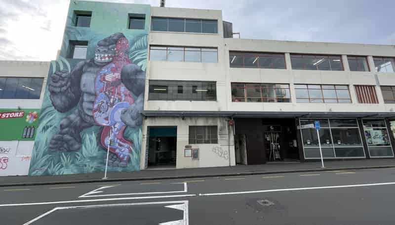 L3/147 Tory Street, TE ARO