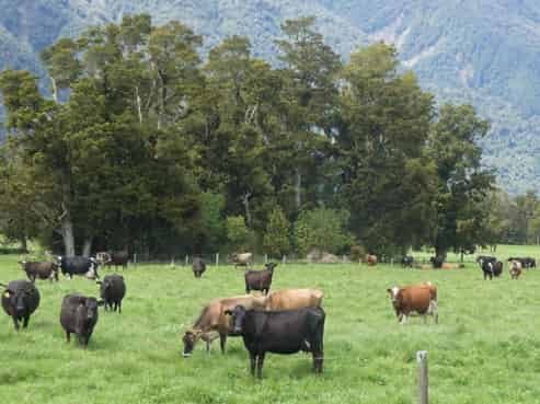 358 Poerua Valley Road, Harihari