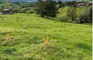 10 Matai Drive, Maungaturoto