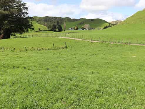 296 Raupuha Road, Douglas