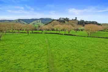 56 Mangatea Road Te Hoe, Te Hoe