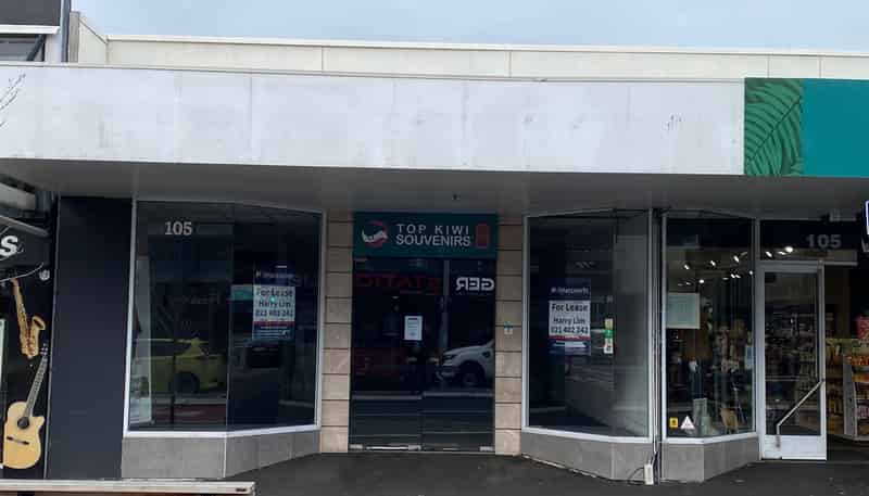 105a Riccarton Road, Riccarton