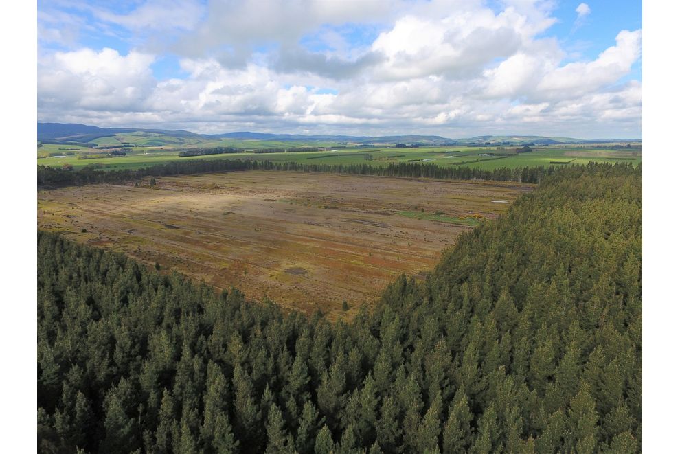 226 Tanner Road, Browns, Southland For Sale realestate.co.nz