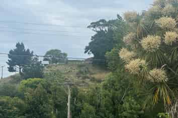 Otago - Address withheld