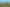 Otago - Address withheld