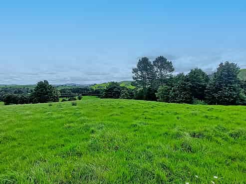 439 Tapuhi Road, Hukerenui and Surrounds