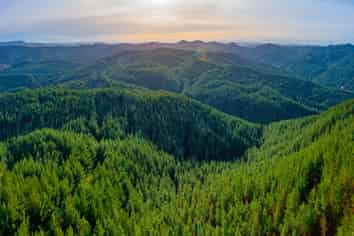  Pine Farm 65, Tiniroto