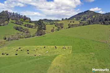 1311 Motueka Valley Highway, Ngatimoti