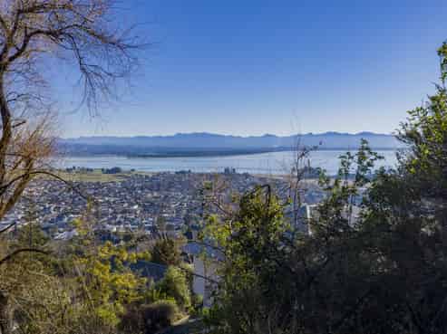 49 Tamaki Street, Tahunanui