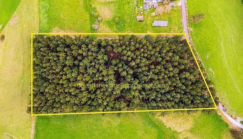  Hill Street, Lawrence