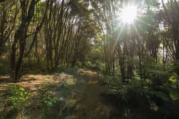 1/20 Taiwawe Lane, Hot Water Beach