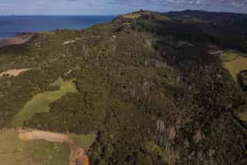 1/20 Taiwawe Lane, Hot Water Beach