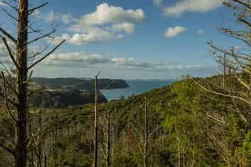 1/20 Taiwawe Lane, Hot Water Beach