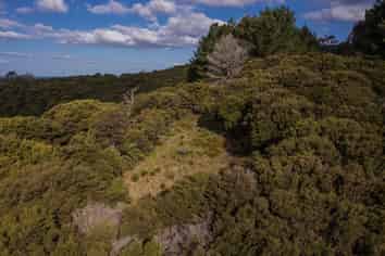 1/20 Taiwawe Lane, Hot Water Beach