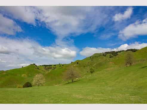 2741 Ngakonui-ongarue Road, Waimiha-Ongarue